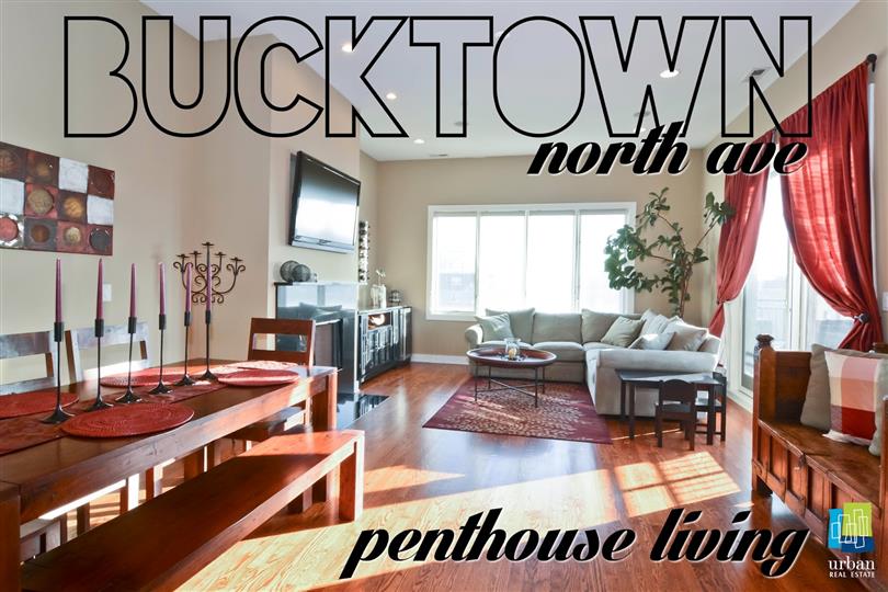 The Pride of Bucktown - Penthouse Just Listed!