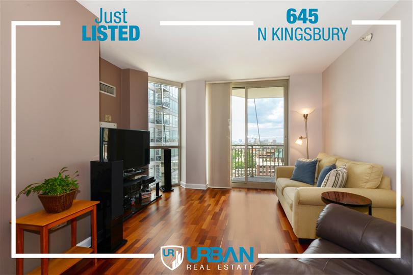 Just Listed! Lake, River, & Skyline Views from River North Gem
