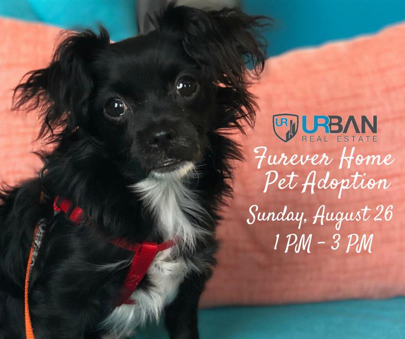 Join us for Urban's Furever Home Pet Adoption Event