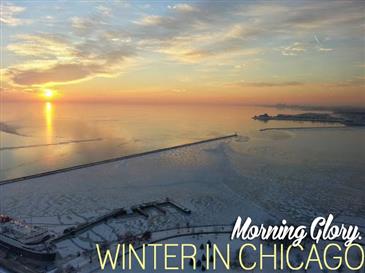 There is Beauty Even in the Desolation. Ah, Winter!