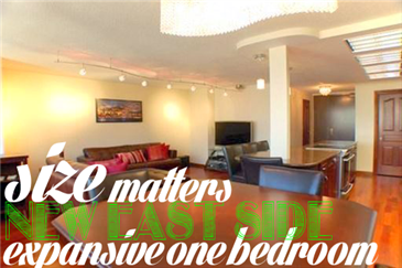 LARGE One Bedroom That WON'T Last!